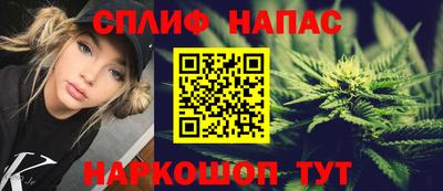jwh Будённовск