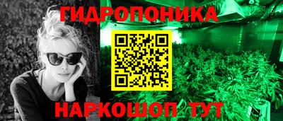 jwh Будённовск