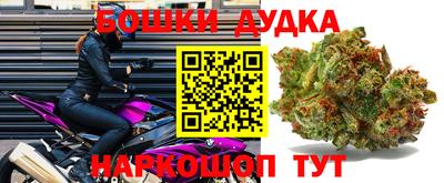jwh Будённовск