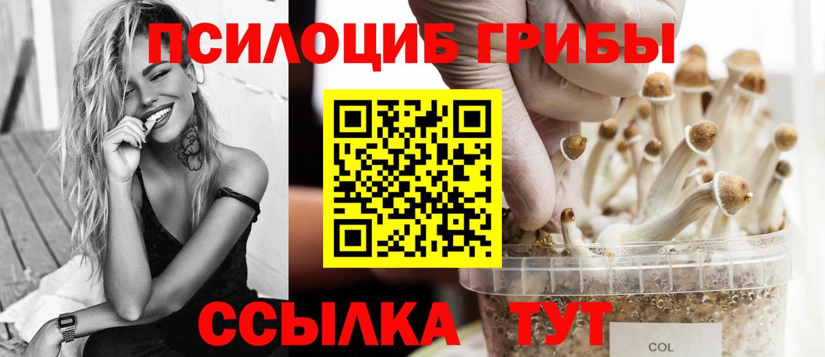 Псилоцибиновые грибы мухоморы  Вход с VPN  Шумерля  Галлюциногенные грибы Psilocybe 