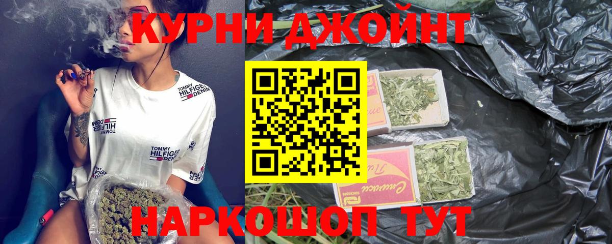 Конопля сатива Шумерля